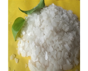氯化鎂